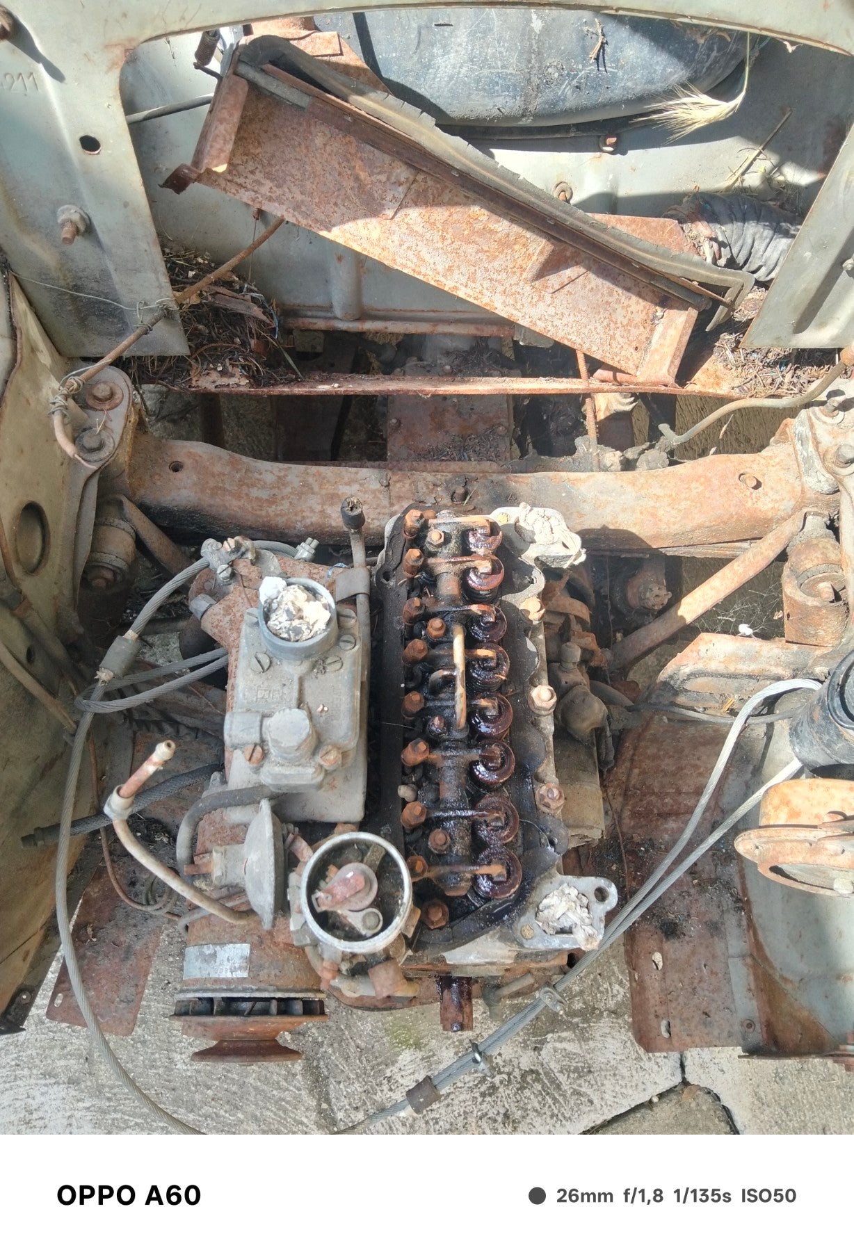 Fiat 500 C Belvedere